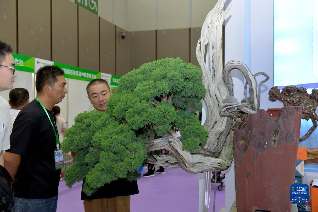 奔驰手机在线充值